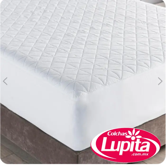 PROTECTOR DE COLCHON QS BASICO PLUS (Vianney 23)