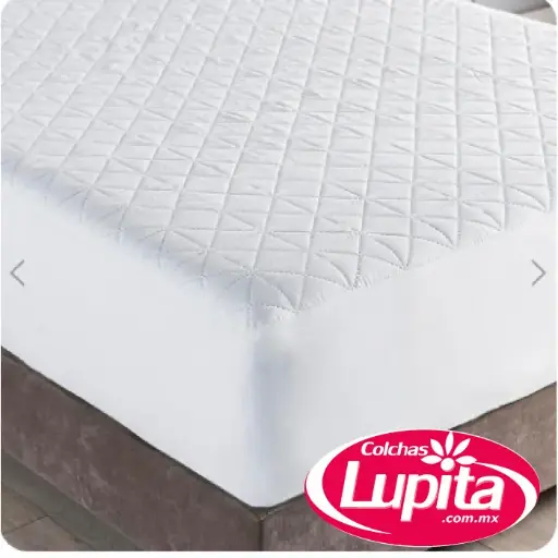 [000249660003] PROTECTOR DE COLCHON KS BASICO PLUS (Vianney 23)